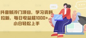 抖音贼冷门项目,学习资料拉新,每日收益超1000+,小白轻松上手【揭秘】-虚拟资源库
