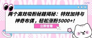 两个高效吸粉秘籍揭秘：特效加持与神奇布偶，轻松涨粉5000+【揭秘】-虚拟资源库