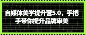 自媒体美学提升营5.0，手把手带你提升品牌审美-虚拟资源库