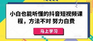 小白也能听懂的抖音短视频课程,方法不对 努力白费-虚拟资源库