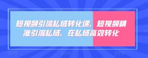 短视频引流私域转化课,短视频精准引流私域,在私域高效转化-虚拟资源库