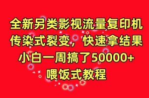 全新另类影视流量复印机,传染式裂变,快速拿结果,小白一周搞了50000+,喂饭式教程【揭秘】-虚拟资源库