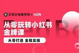 王导主·小红书电商运营实操课，​从零打造  全程实操-虚拟资源库
