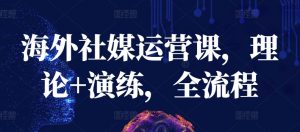 海外社媒运营课，理论+演练，全流程-虚拟资源库