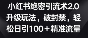 小红书绝密引流术2.0升级玩法，破封禁，轻松日引100+精准流量【揭秘】-虚拟资源库