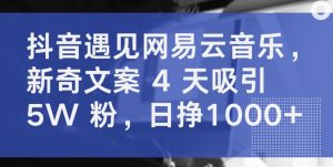 抖音遇见网易云音乐，新奇文案 4 天吸引 5W 粉，日挣1000+【揭秘】-虚拟资源库