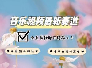 音乐视频赛道最新玩法，纯原创不违规，可所有平台同时发布，会点剪辑即可轻松拿捏【揭秘】-虚拟资源库