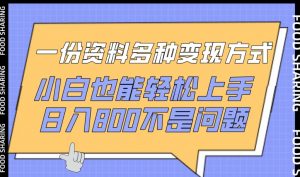一份资料多种变现方式，小白也能轻松上手，日入800不是问题【揭秘】-虚拟资源库