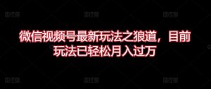 微信视频号最新玩法之狼道，目前玩法已轻松月入过万【揭秘】-虚拟资源库