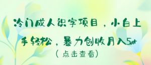 冷门成人识字项目，小白上手轻松，暴力创收月入5w+【揭秘】-虚拟资源库