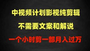 中视频计划影视纯剪辑，不需要文案和解说，一个小时剪一部，100%过原创月入过万【揭秘】-虚拟资源库