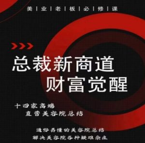 总裁新商道(美业老板必修课)，通俗易懂的美容院总结，解决美容院各种疑难杂症-虚拟资源库