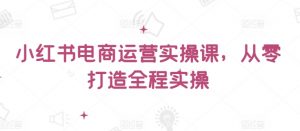 小红书电商运营实操课,从零打造全程实操-虚拟资源库