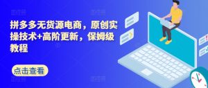 拼多多无货源电商,原创实操技术+高阶更新,保姆级教程-虚拟资源库