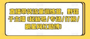 直播带货流量训练营,野路子主播(起新号/专场/打榜/明星网红助博)-虚拟资源库