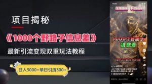 一千个野路子信息差最新玩法教程-变现+引流的玩法具体拆解【揭秘】-虚拟资源库