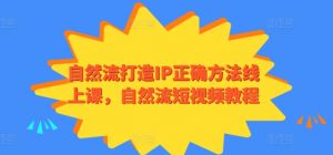 自然流打造IP正确方法线上课,自然流短视频教程-虚拟资源库