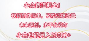 小众赛道掘金，视频制作简单，轻松引爆流量，条条原创，多平台发布【揭秘】-虚拟资源库
