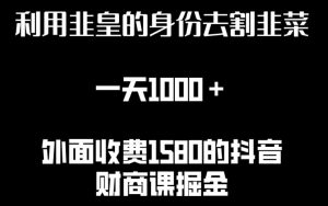 利用非皇的身份去割韭菜,一天1000+(附详细资源)【揭秘】-虚拟资源库