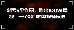 新号5个作品，跑出100W播放，一个冷门的中视频玩法【揭秘】-虚拟资源库