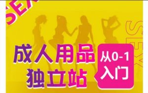 成人用品独立站从0-1入门，成品独立站运营全流程教学，七大好卖成品独立站推荐-虚拟资源库