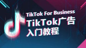 TikTok广告入门教程，从0到1掌握TikTok投放的全流程-虚拟资源库