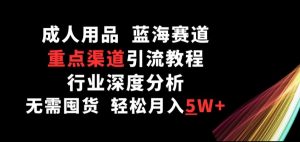 成人用品，蓝海赛道，重点渠道引流教程，行业深度分析，无需囤货，轻松月入5W+【揭秘】-虚拟资源库