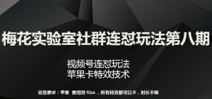 梅花实验室社群连怼玩法第八期,视频号连怼玩法 苹果卡特效技术【揭秘】-虚拟资源库