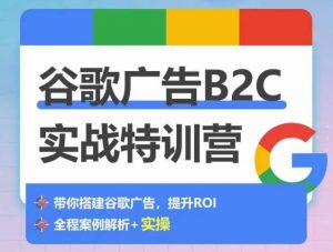 谷歌广告B2C实战特训营，500+谷歌账户总结经验，实战演示如何从0-1搭建广告账户-虚拟资源库