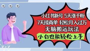 小红书影视泥巴追剧5天涨千粉，7天接商单，轻松月入过万，无脑搬运玩法【揭秘】-淘宝虚拟货源网