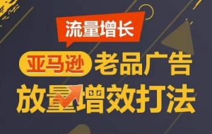 流量增长 亚马逊老品广告放量增效打法,短期内广告销量翻倍-虚拟资源库