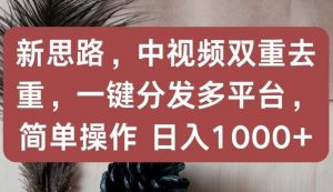 新思路，中视频双重去重，一键分发多平台，简单操作，日入1000+【揭秘】-虚拟资源库