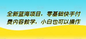 全新蓝海项目，零基础快手付费内容教学，小白也可以操作【揭秘】-虚拟资源库