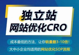 独立站网站优化CRO,成本最低的方法,让你销量翻3-10倍-虚拟资源库