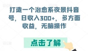 打造一个治愈系夜景抖音号,日收入300+,多方面收益,无脑操作【揭秘】-虚拟资源库