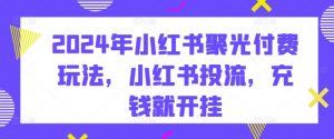 2024年小红书聚光付费玩法,小红书投流,充钱就开挂-虚拟资源库