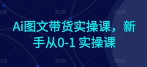 Ai图文带货实操课，新手从0-1 实操课-虚拟资源库