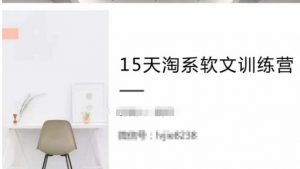 15天淘系软文训练营，跟年入50万的淘系软文导师，学习月收过万的淘系软文-虚拟资源库