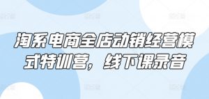 淘系电商全店动销经营模式特训营，线下课录音-虚拟资源库