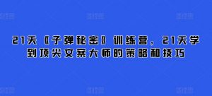 21天《子弹秘密》训练营，21天学到顶尖文案大师的策略和技巧-虚拟资源库