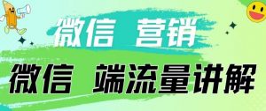 4.19日内部分享《微信营销流量端口》微信付费投流【揭秘】-虚拟资源库