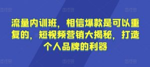 流量内训班，相信爆款是可以重复的，短视频营销大揭秘，打造个人品牌的利器-虚拟资源库