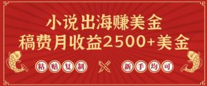 小说出海赚美金,稿费月收益2500+美金,仅需chatgpt粘贴复制,新手也能玩转【揭秘】-虚拟资源库