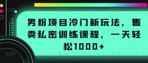 男粉项目冷门新玩法，售卖私密训练课程，一天轻松1000+【揭秘】-虚拟资源库