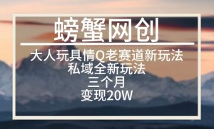 大人玩具情Q用品赛道私域全新玩法，三个月变现20W，老项目新思路【揭秘】-虚拟资源库