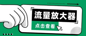 流量放大器,抖音公私域变现+soul私域轰炸器【揭秘】-虚拟资源库