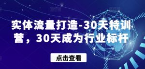 实体流量打造-30天特训营,30天成为行业标杆-虚拟资源库