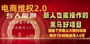电商维权 4.0 如何做到月入 5 万+每天 1 小时新人也能快速上手【仅揭秘】-虚拟资源库