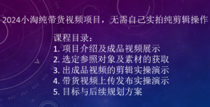 2024小淘纯带货视频项目，无需自己实拍纯剪辑操作-虚拟资源库