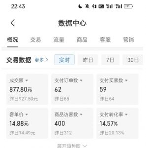 拼多多虚拟U盘电商红利项目:月赚2万+,新手小白也能玩-虚拟资源库
